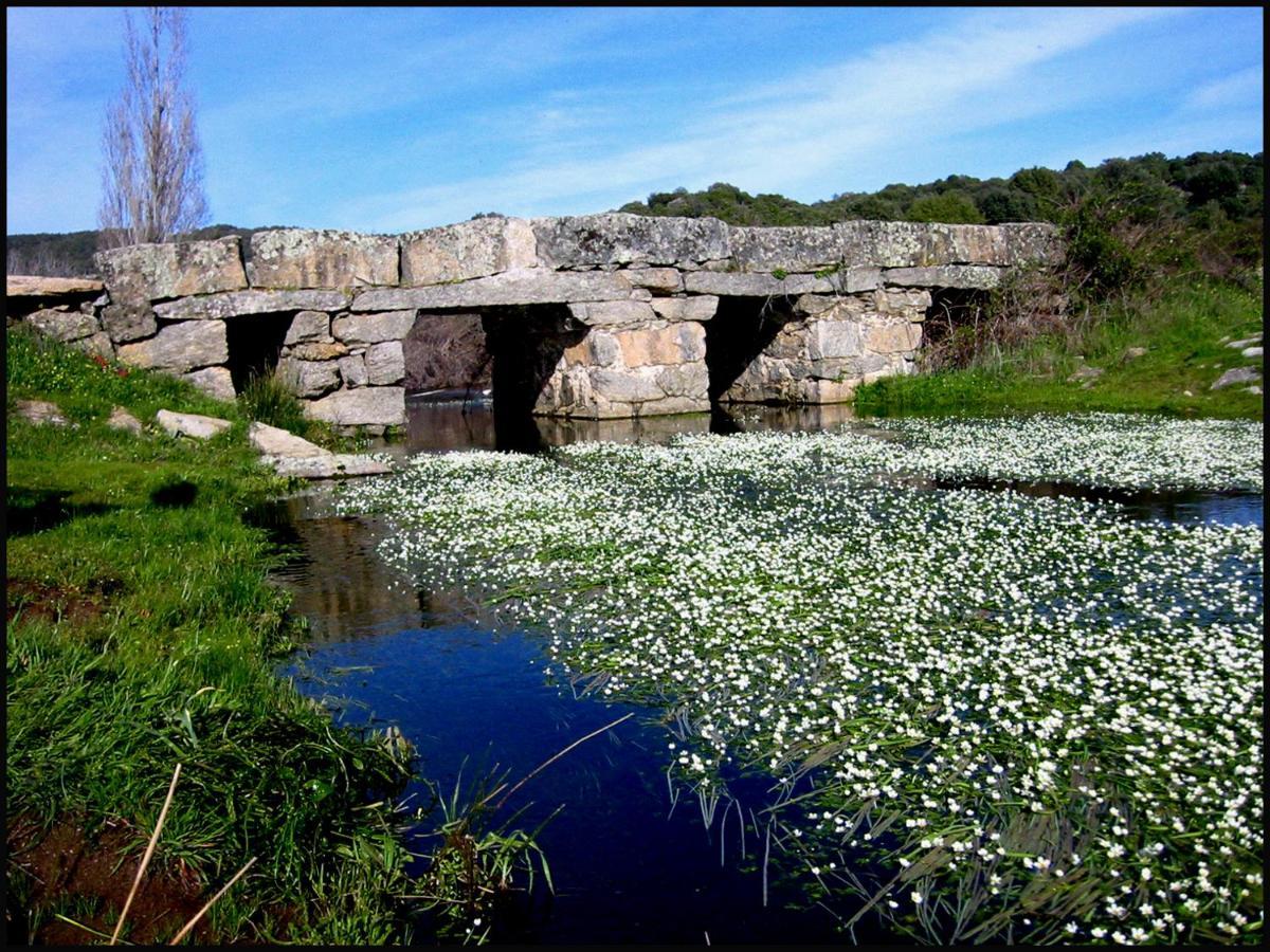 La Casita De Ra Βίλα Castillo de Bayuela Εξωτερικό φωτογραφία