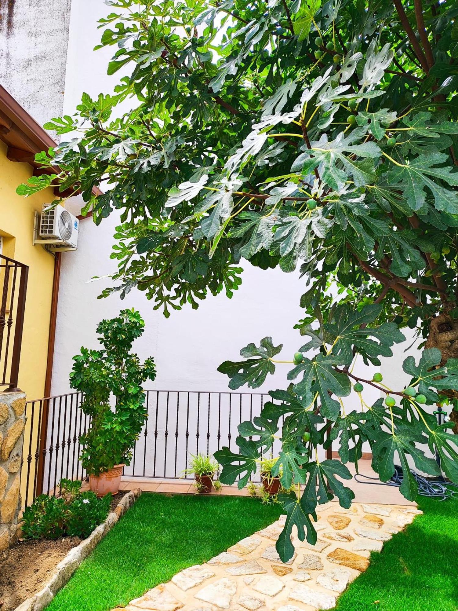 La Casita De Ra Βίλα Castillo de Bayuela Εξωτερικό φωτογραφία
